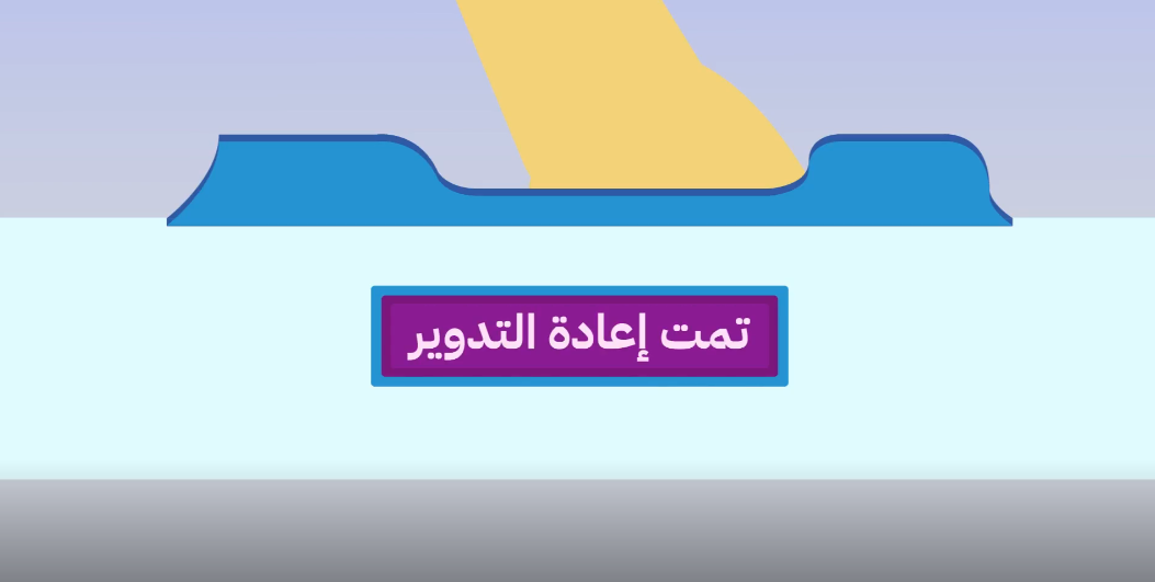 أميرة ناصر